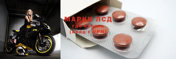 ПСИЛОЦИБИНОВЫЕ ГРИБЫ Аркадак