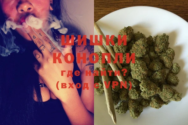 ПСИЛОЦИБИНОВЫЕ ГРИБЫ Аркадак